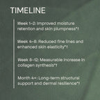 Skin care product timeline with text on a green background